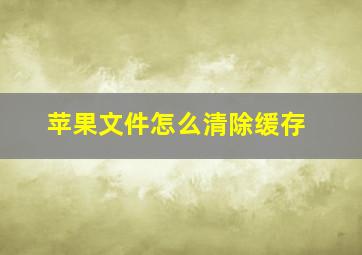 苹果文件怎么清除缓存