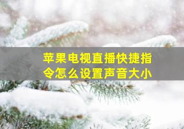 苹果电视直播快捷指令怎么设置声音大小