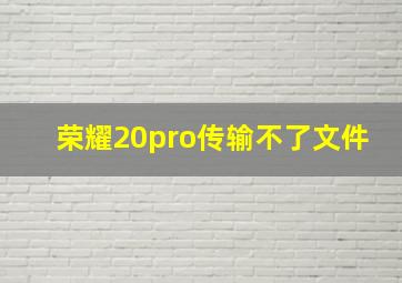 荣耀20pro传输不了文件