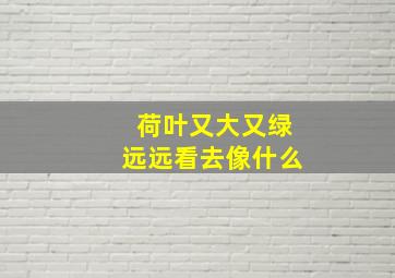 荷叶又大又绿远远看去像什么