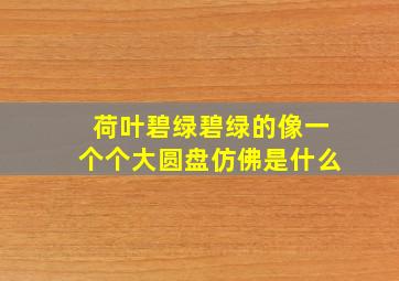 荷叶碧绿碧绿的像一个个大圆盘仿佛是什么