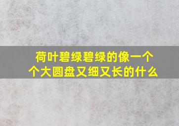 荷叶碧绿碧绿的像一个个大圆盘又细又长的什么