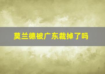 莫兰德被广东裁掉了吗