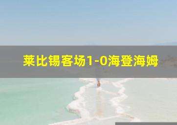 莱比锡客场1-0海登海姆