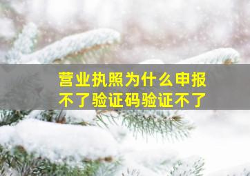 营业执照为什么申报不了验证码验证不了