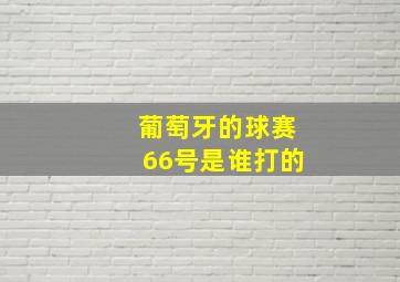 葡萄牙的球赛66号是谁打的