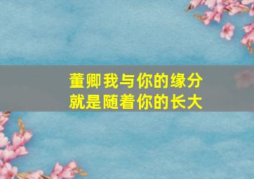 董卿我与你的缘分就是随着你的长大