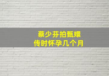 蔡少芬拍甄嬛传时怀孕几个月