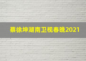 蔡徐坤湖南卫视春晚2021