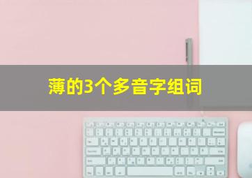 薄的3个多音字组词