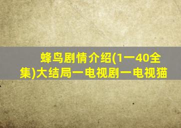 蜂鸟剧情介绍(1一40全集)大结局一电视剧一电视猫