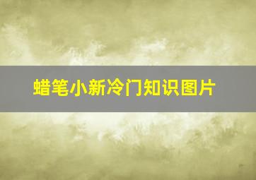 蜡笔小新冷门知识图片