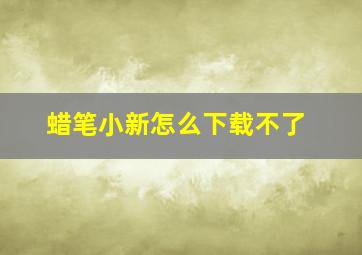 蜡笔小新怎么下载不了