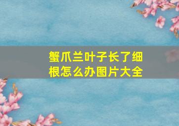 蟹爪兰叶子长了细根怎么办图片大全