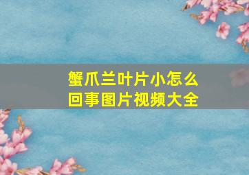 蟹爪兰叶片小怎么回事图片视频大全