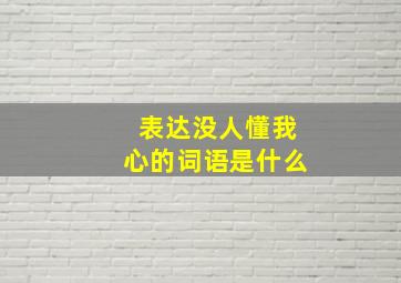 表达没人懂我心的词语是什么