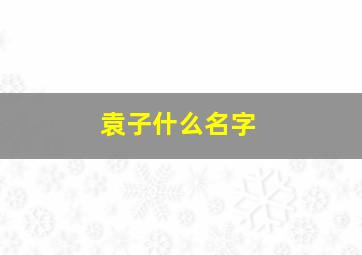 袁子什么名字