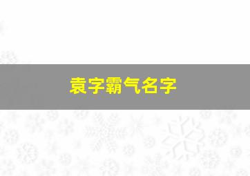 袁字霸气名字