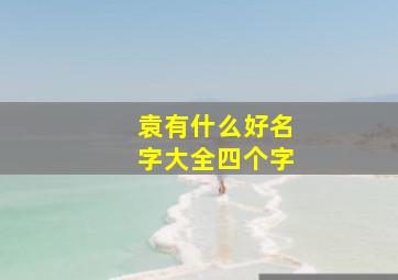 袁有什么好名字大全四个字