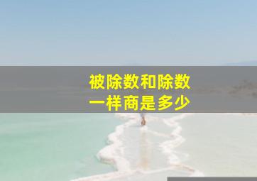 被除数和除数一样商是多少