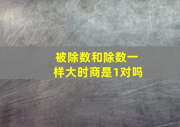 被除数和除数一样大时商是1对吗