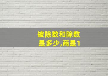 被除数和除数是多少,商是1