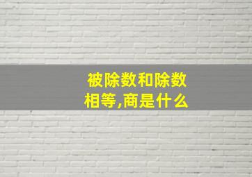 被除数和除数相等,商是什么