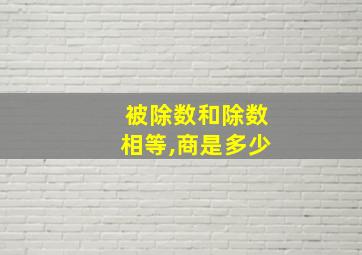 被除数和除数相等,商是多少