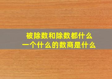 被除数和除数都什么一个什么的数商是什么