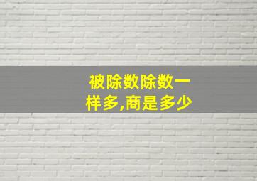 被除数除数一样多,商是多少