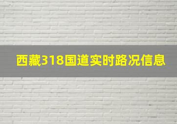 西藏318国道实时路况信息