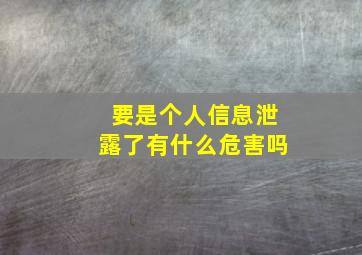 要是个人信息泄露了有什么危害吗