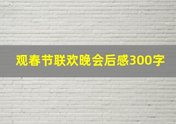 观春节联欢晚会后感300字