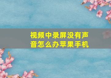 视频中录屏没有声音怎么办苹果手机