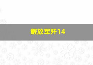 解放军歼14