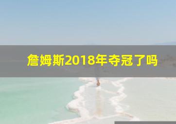 詹姆斯2018年夺冠了吗