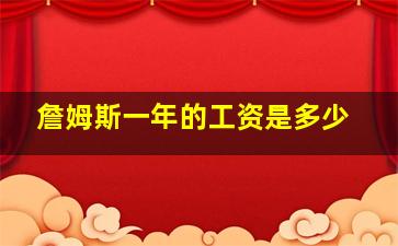 詹姆斯一年的工资是多少