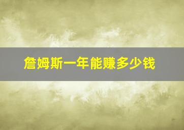 詹姆斯一年能赚多少钱