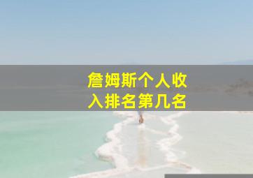 詹姆斯个人收入排名第几名