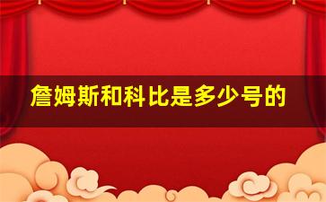 詹姆斯和科比是多少号的