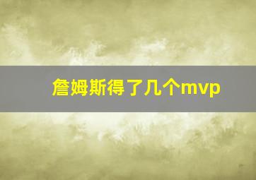 詹姆斯得了几个mvp