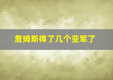 詹姆斯得了几个亚军了