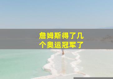 詹姆斯得了几个奥运冠军了