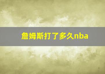 詹姆斯打了多久nba