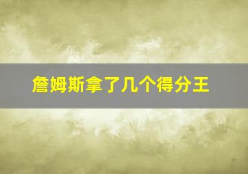 詹姆斯拿了几个得分王