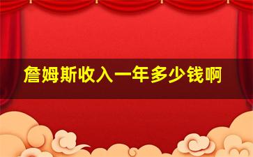 詹姆斯收入一年多少钱啊