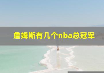 詹姆斯有几个nba总冠军