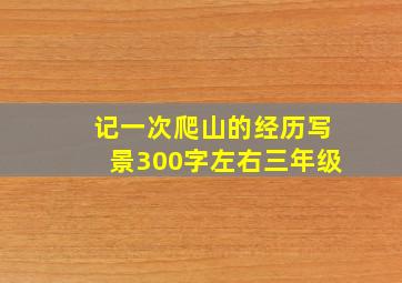 记一次爬山的经历写景300字左右三年级