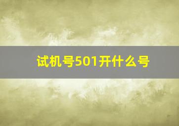 试机号501开什么号