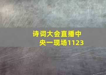 诗词大会直播中央一现场1123